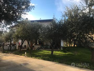 Siniscola bilocale con giardino