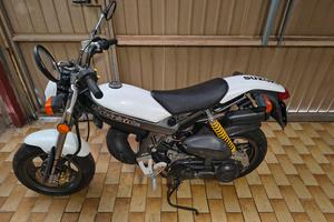 Suzuki Street 50 