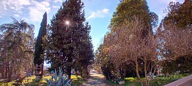 VILLA SINGOLA A TERNI