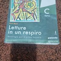 Letture in un respiro C 9788839525307