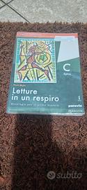Letture in un respiro C 9788839525307