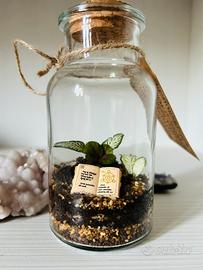 Terrarium ‘incantesimo imperfetto-consegna a mano