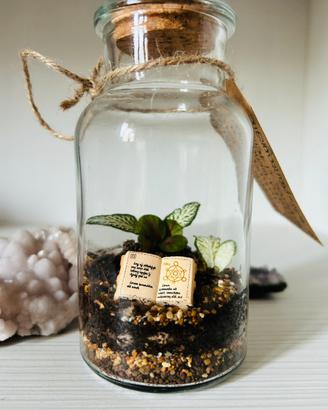 Terrarium ‘incantesimo imperfetto-consegna a mano