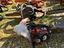 Immagine 15