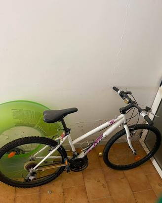 Bicicletta