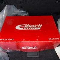 Kit Molle Eibach Pro Kit