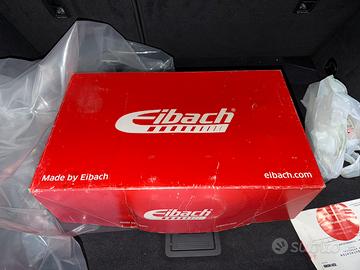 Kit Molle Eibach Pro Kit