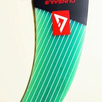 Pinna Windsurf 28 Gunsails