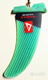 Pinna Windsurf 28 Gunsails