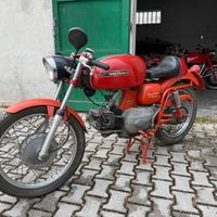 Aermacchi Ala Verde 250 - 1969