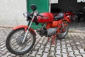 Aermacchi Ala Verde 250 - 1969