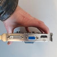 scheda video GT240 1GB