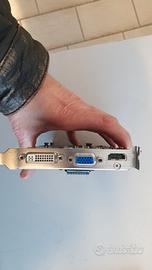 scheda video GT240 1GB