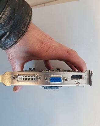 scheda video GT240 1GB
