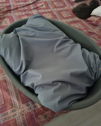 cuccia gatti