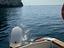 Immagine 5