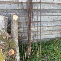 Paletti ferro per vigna