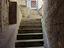 Immagine 7