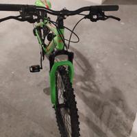 Mountain bike