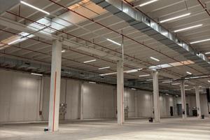 Negozi liberi definizione immediata