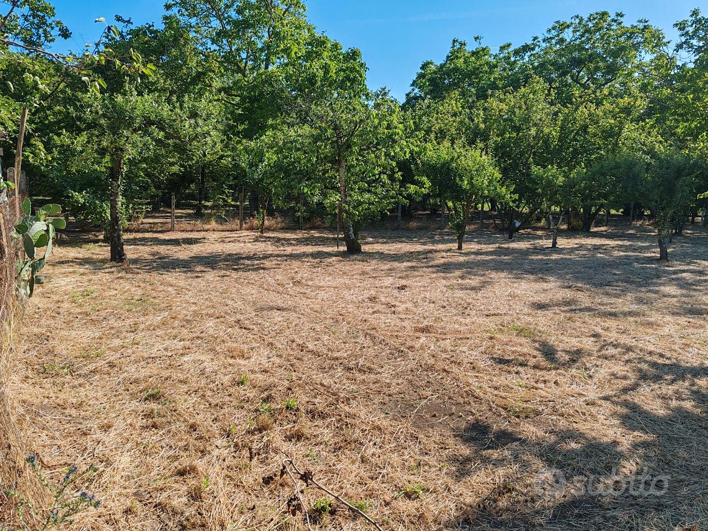 Terreno agricolo - Vista 2
