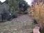 Immagine 26