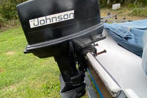 Motore Johnson 25 cv