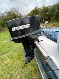 Motore Johnson 25 cv