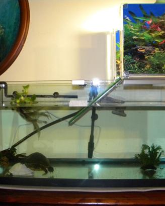 Acquario scoperto più  accessori vari