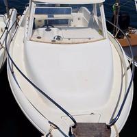 Blumax nardo 20 con Mercury pro 2016 unicopro