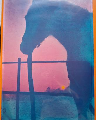 Poster The Paddock scatto di A. Newmark