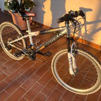 Mtb per ragazzino
