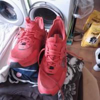 puma rosse