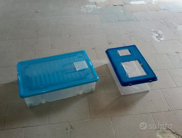 vaschette per tartarughe d acqua