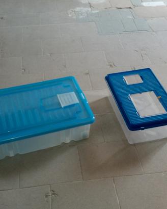 vaschette per tartarughe d acqua