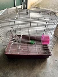 Gabbia criceti e scoiattoli