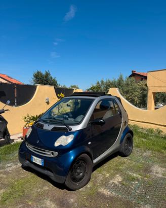 Smart 450 cambrio passion