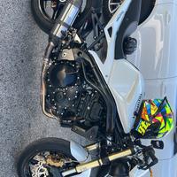 Triumph Speed Triple 1050
