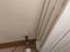 Immagine 23
