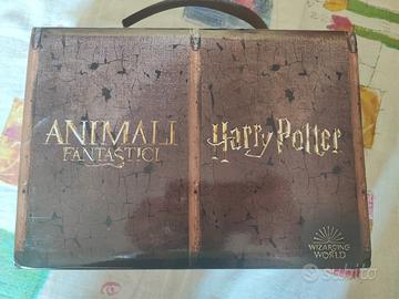 SLunga Valigetta HarryPotter e AnimaliFantastici