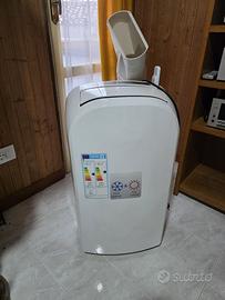 Pinguino reversibile