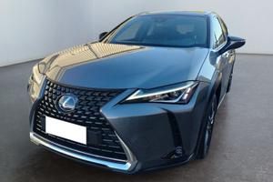 Lexus UX Hybrid 4WD Executive