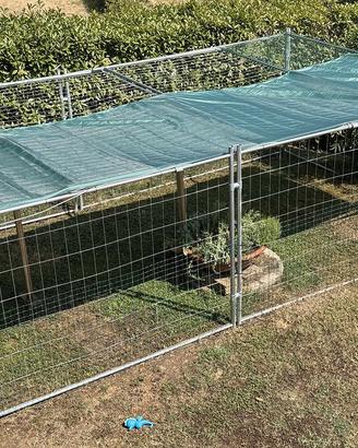Gabbia per cani antilupi