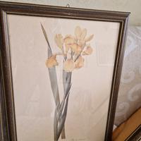 4 quadri stampe floreali con cornice di legno 