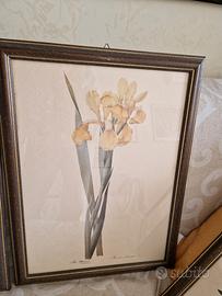 4 quadri stampe floreali con cornice di legno 