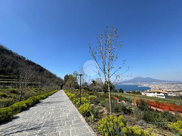 MONOLOCALE A CASTELLAMMARE DI STABIA