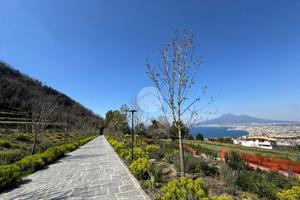MONOLOCALE A CASTELLAMMARE DI STABIA
