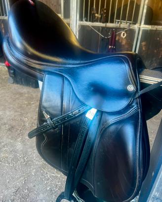Sella salto EQUIPE CARBON