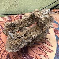 Minerali - Rosa del deserto