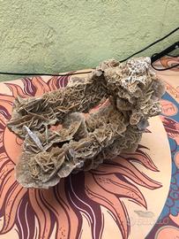 Minerali - Rosa del deserto